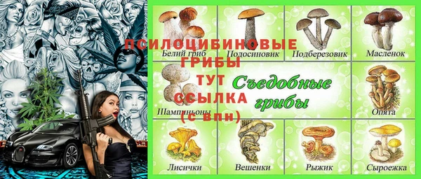 молекула духа Майский