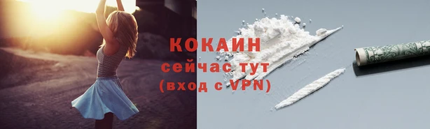 молекула духа Майский