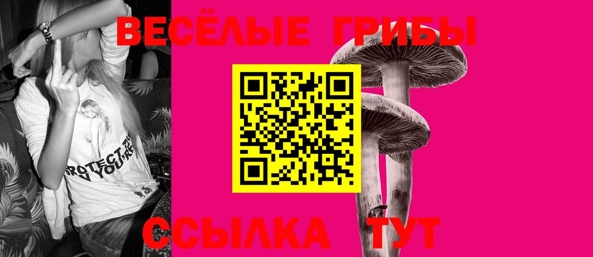Галлюциногенные грибы Psilocybine cubensis  Псилоцибиновые грибы Magic Shrooms  Вход с VPN  Наро-Фоминск 